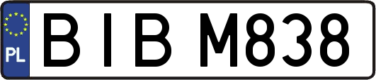 BIBM838