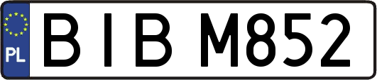 BIBM852