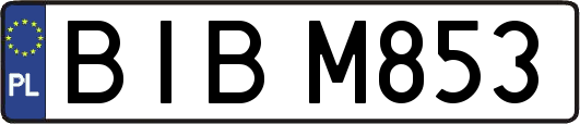 BIBM853