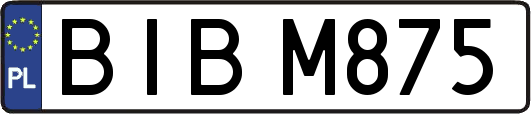 BIBM875