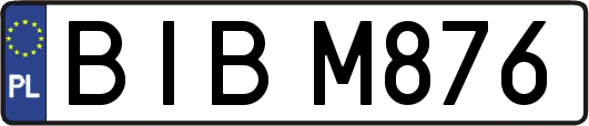 BIBM876