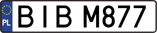 BIBM877