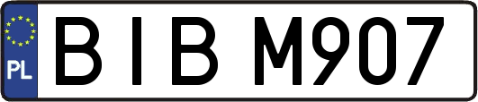 BIBM907