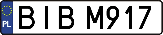 BIBM917