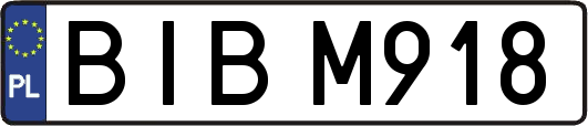 BIBM918