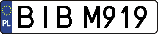 BIBM919