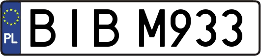 BIBM933
