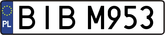 BIBM953