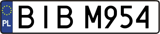 BIBM954