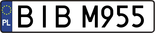 BIBM955