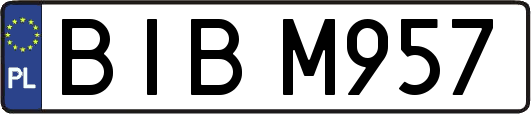 BIBM957