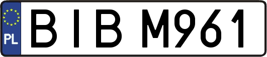 BIBM961