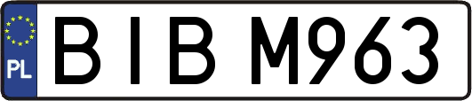 BIBM963