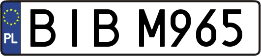 BIBM965