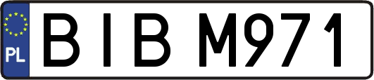 BIBM971