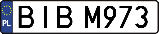 BIBM973