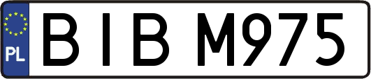 BIBM975