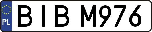 BIBM976