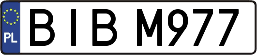 BIBM977