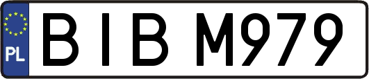 BIBM979