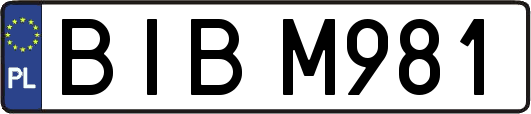 BIBM981