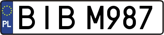 BIBM987