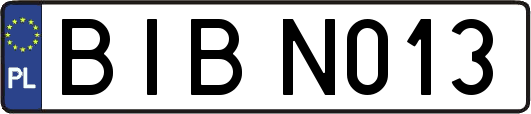 BIBN013