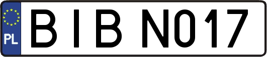 BIBN017