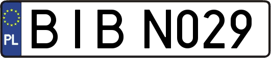 BIBN029