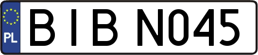 BIBN045