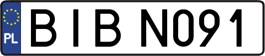 BIBN091