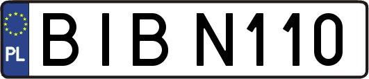 BIBN110