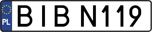BIBN119