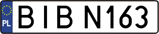BIBN163