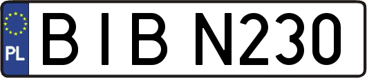 BIBN230