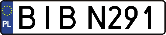 BIBN291