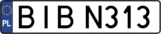 BIBN313