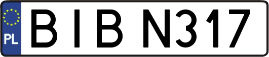 BIBN317