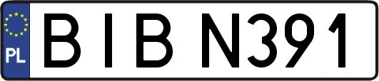 BIBN391