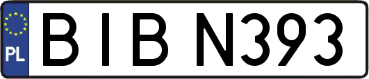 BIBN393