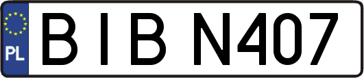 BIBN407