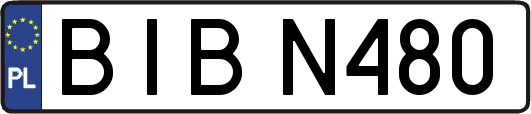 BIBN480