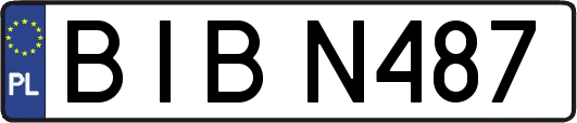 BIBN487