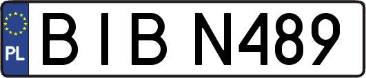 BIBN489