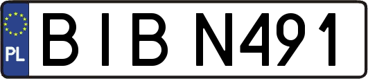 BIBN491