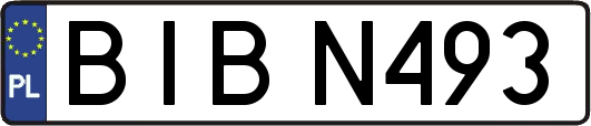 BIBN493