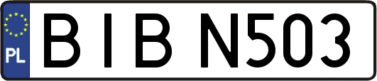 BIBN503
