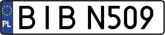 BIBN509