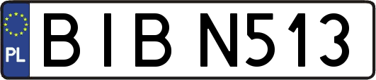 BIBN513