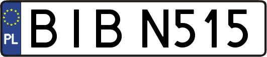BIBN515